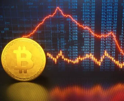 Druvaxio - Elevate Your Trading Skills with the State-of-the-Art Druvaxio Platform