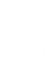 Druvaxio - COMPREHENSIVE SECURITY FOR TRADERS
